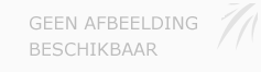 Afbeelding › Goochelaar Kevin Antonis